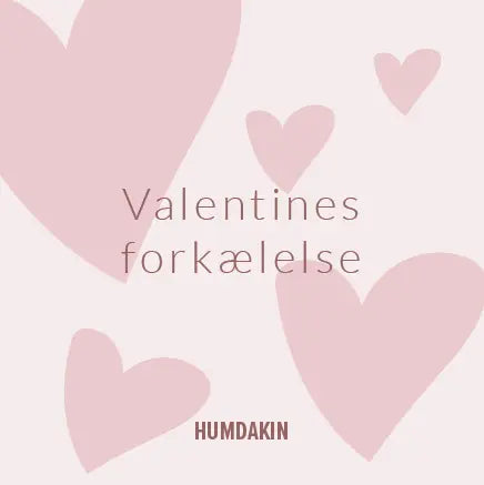 Forkæl med rengøring