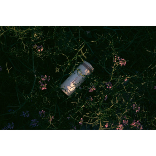 HUMDAKIN 01 Body Lotion 500 ml. - Kamille & Havtorn Hair and Body care 00 Neutral/No color